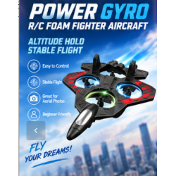 E69 RC Fighter Aircraft with Gyro & LED Lights