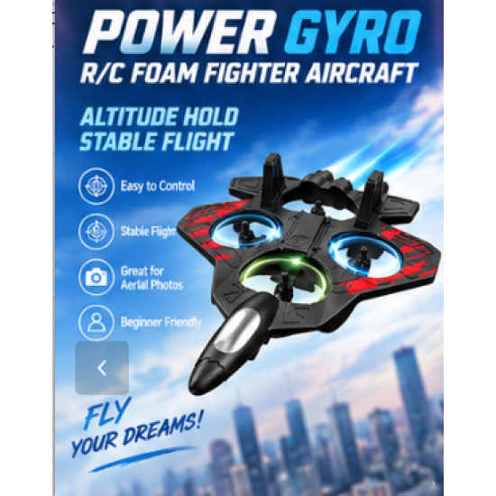 E69 RC Fighter Aircraft with Gyro and LED Lights