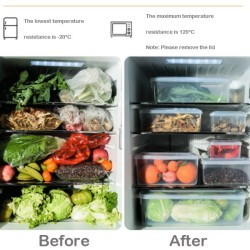 Plastic Food Storage Container