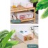 Stackable Plastic Shoe Storage Boxes With Clear Door 6 Pieces image