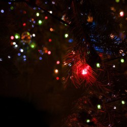 Outdoor String LED Lights Bright Colour 10 Meters Outdoor String LED Lights Bright Colour 10 Meters