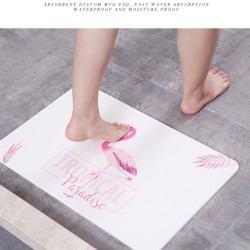 Diatomite Rapid Dry Bath Shower Mat