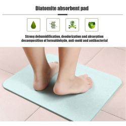 Diatomite Rapid Dry Bath Shower Mat