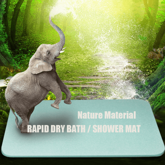Diatomite Rapid Dry Bath / Shower Mat image