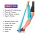 Resistance Bands for Physiotherapy, Strength Training & Fitness Workouts image