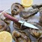 High Quality Stainless Steel Oyster Knife with Wood-Handle