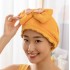 Water Absorbent Hair Drying Cap image