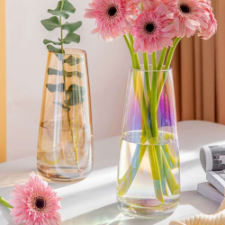 Multi-colour Coating Glass Flower Vase