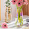 Multi-colour Coating Glass Flower Vase