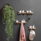 Decorative Wall Hook Birds on Branch